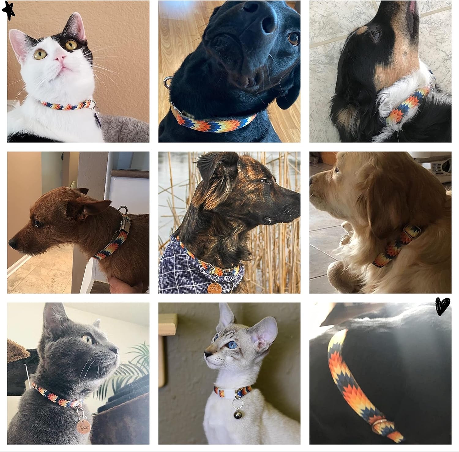 Pet Supplies Aztec Tribal Cat & Dog Collar, Leash & Harness Set - XS to Large