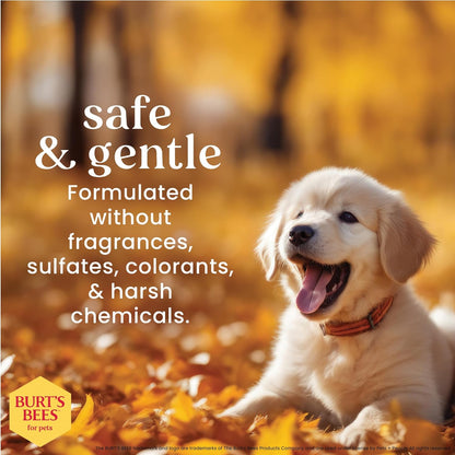 Tearless Puppy Shampoo with Buttermilk, 95% Natural Origin Formulas, Shampoo for Puppies - Gentle Dog and Puppy Shampoo Tear Free, Best Puppy Shampoo Tearless, 32 Oz